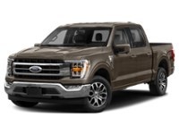 2021 Ford F-150 LARIAT 4WD SuperCrew 5.5' Box Stone Grey Metallic  Shot 14