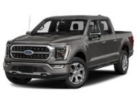 2023 Ford F-150 Platinum 4WD SuperCrew 5.5' Box Carbonized Grey Metallic  Shot 25