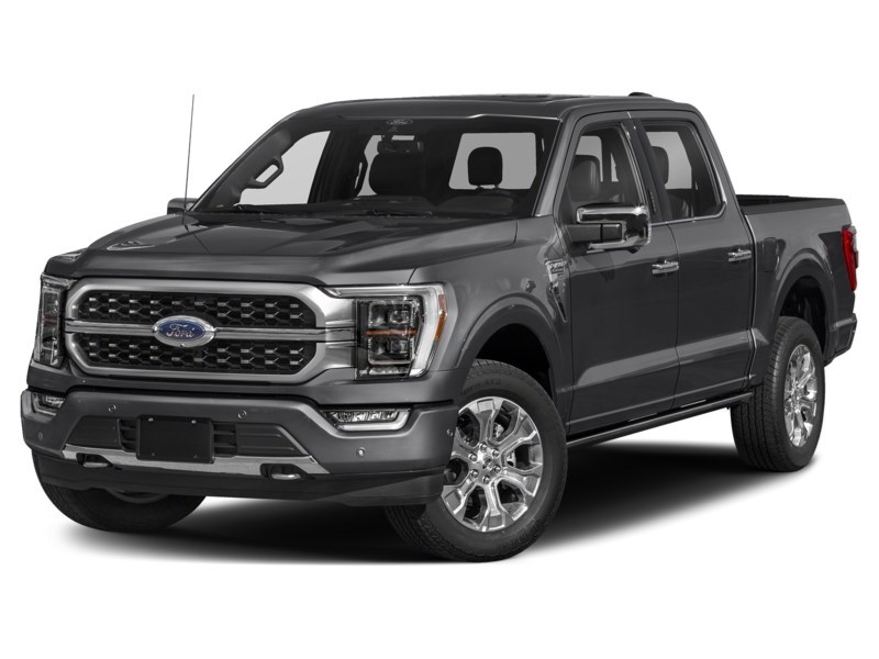 2023 Ford F-150 Platinum 4WD SuperCrew 5.5' Box Agate Black Metallic  Shot 4