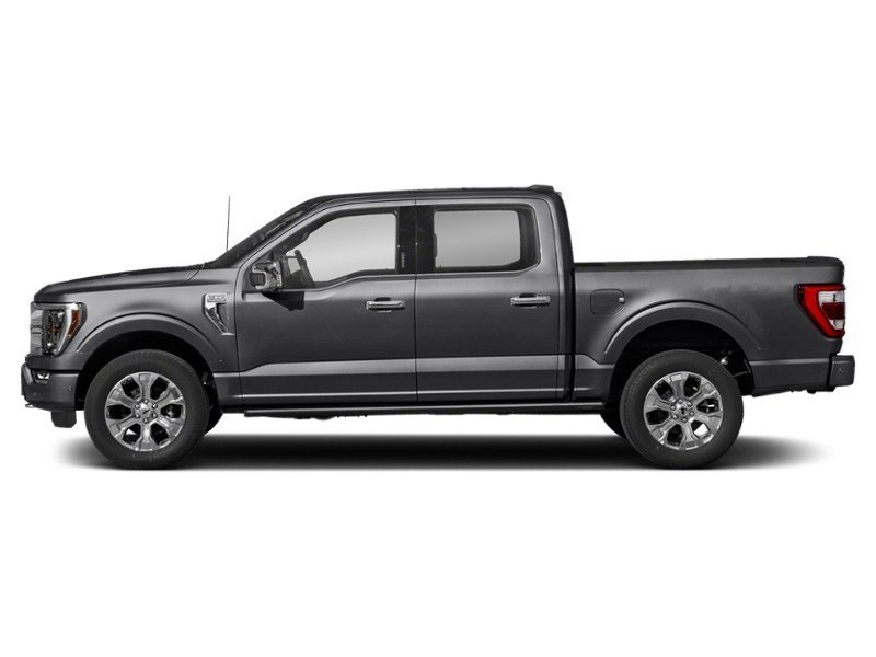 2023 Ford F-150 Platinum 4WD SuperCrew 5.5' Box Agate Black Metallic  Shot 5