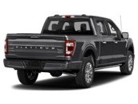 2023 Ford F-150 Platinum 4WD SuperCrew 5.5' Box
