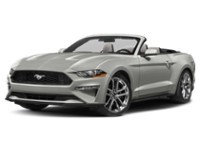 2022 Ford Mustang EcoBoost Convertible Iconic Silver Metallic  Shot 41