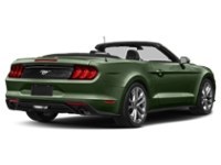 2022 Ford Mustang EcoBoost Convertible Eruption Green Metallic  Shot 30
