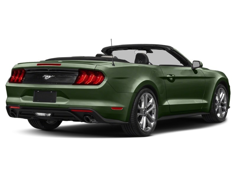 2022 Ford Mustang EcoBoost Convertible Eruption Green Metallic  Shot 26
