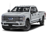2024 Ford Super Duty F-350 DRW Platinum 4WD Crew Cab 8' Box Iconic Silver Metallic  Shot 19