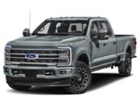 2024 Ford Super Duty F-350 DRW Platinum 4WD Crew Cab 8' Box Carbonized Grey Metallic  Shot 31