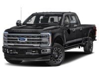 2024 Ford Super Duty F-350 DRW Platinum 4WD Crew Cab 8' Box Agate Black Metallic  Shot 33