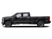 2024 Ford Super Duty F-350 DRW Platinum 4WD Crew Cab 8' Box Agate Black Metallic  Shot 35