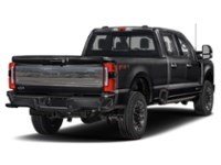 2024 Ford Super Duty F-350 DRW Platinum 4WD Crew Cab 8' Box Agate Black Metallic  Shot 38