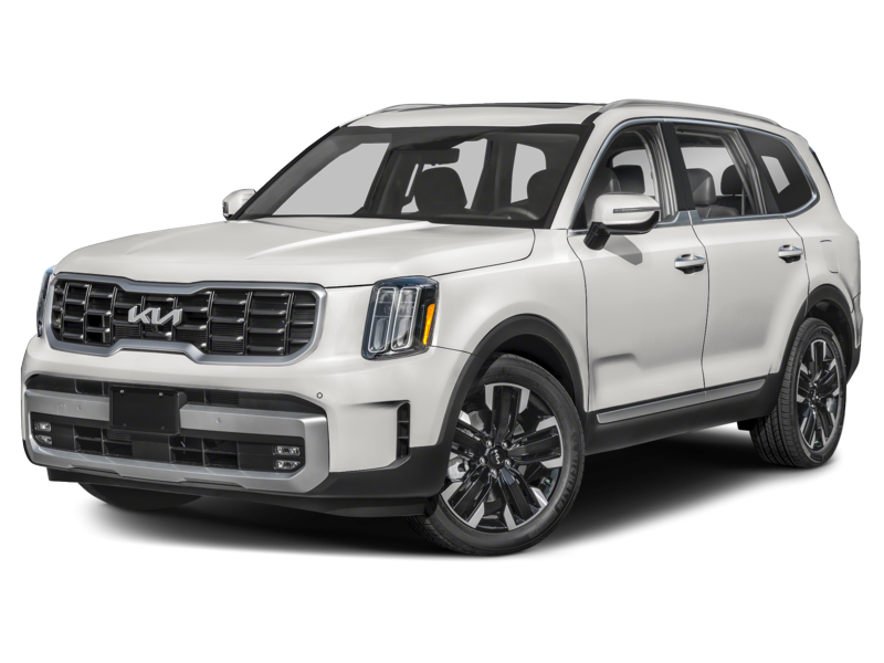 SX Limited