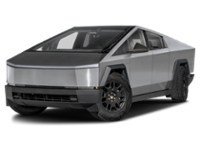 2025 Tesla Cybertruck AWD Colour Shot 1