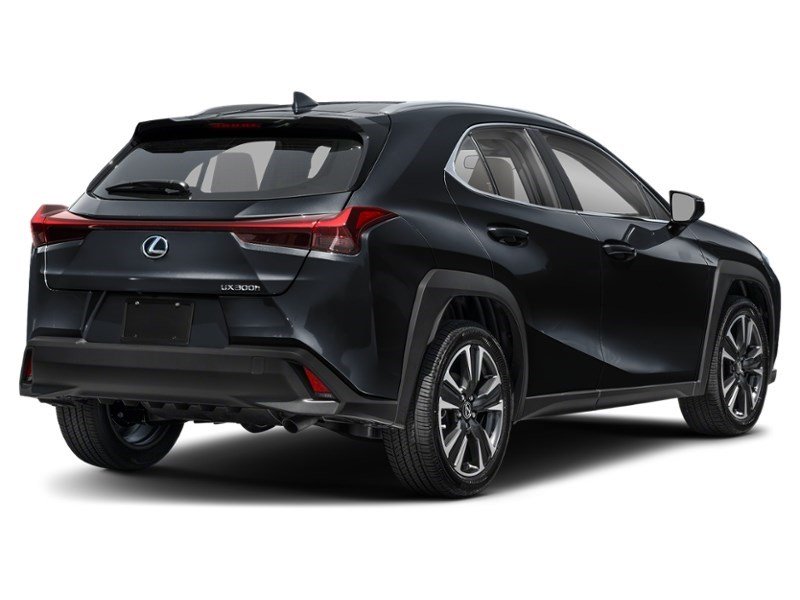 2025 Lexus UX 300h UX 300h CVT Caviar  Shot 2