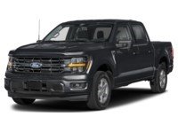 2026 Ford F-150 XLT | 4X4 | 5.0L | 303A | BLK PK PLS | ROOF |BED U Agate Black Metallic  Shot 4