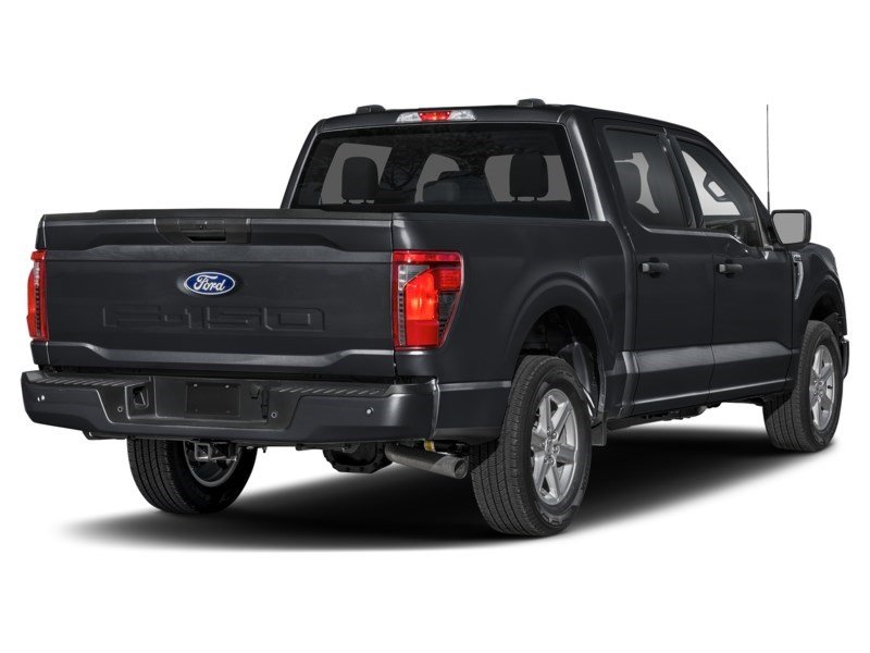 2026 Ford F-150 XLT | 4X4 | 5.0L | 303A | BLK PK PLS | ROOF |BED U Agate Black Metallic  Shot 6